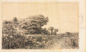 クーロンヌの沼の端、1863年。 作： Félix Ziem