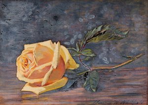 黄色いバラ、1887年。 作： Florence Westwood Whitfield