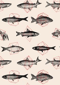 幾何学模様の魚たち 作： Florent Bodart