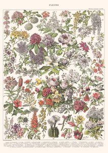 花II - ASTER EDITION, 2023（デジタル） 作： Florent Bodart