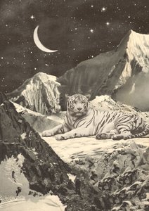 山の中の巨大なホワイトタイガー 作： Florent Bodart