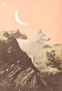 ピンク山脈の巨大オオカミ、2021年（コラージュ） 作： Florent Bodart