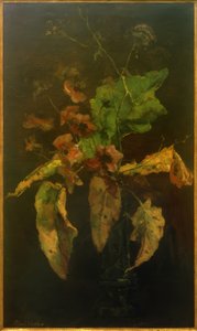 アネモネと葉 作： Floris Verster