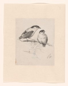 枝に 2 つのおっぱい 作： Floris Verster