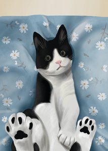 かわいいタキシード猫 作： Flow Line