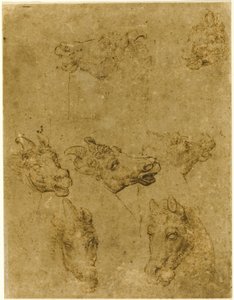 馬とユニコーンの頭 作： Follower of Leonardo da Vinci