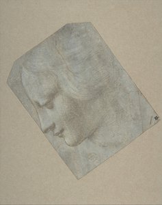左を向いた横顔の女性の頭部、1490～1500 年。 作： Follower of Leonardo da Vinci.