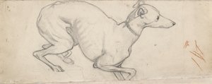 グレイハウンドの研究、19 世紀半ば 作： Ford Madox Brown