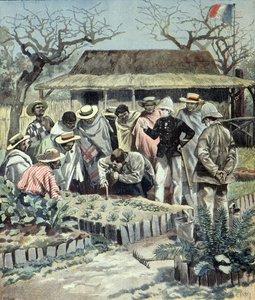 1897年、マダガスカルの先住民に農作業を教えるフランス人（エングレーヴィング）