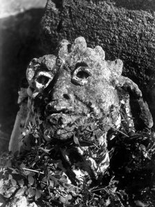 バゲリアのヴィラ・パラゴニア：小枝の間に倒れた彫像の頭部 作： フォスコ・マライーニ