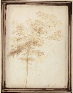 木の研究 作： Fra Bartolomeo
