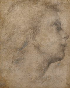 右を見上げている横顔の天使の頭、 作： Fra Bartolomeo