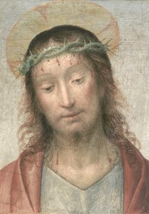 こちらが（パネル） 作： Fra Bartolommeo