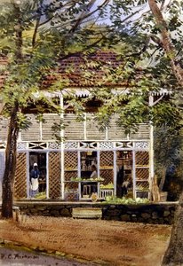 イギリス領西インド諸島（水彩・紙） 作： Frances C. Fairman