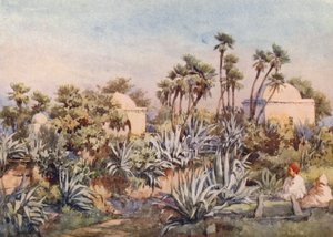 シディ・ヌマンのコッバ、ブザレア（カラーリトグラフ） 作： Frances Nesbitt