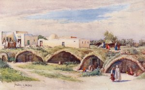 カルタゴ、プニックの貯水池（カラーリトグラフ） 作： Frances Nesbitt