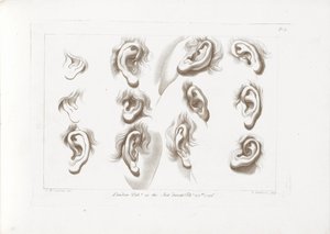 十二耳 Ciprianis Principles of Drawing (シリーズタイトル) キプリアニスの素描（連載タイトル） 作： Francesco Bartolozzi