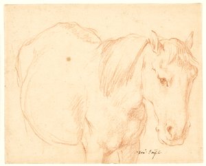 馬 作： Francesco Fernandi