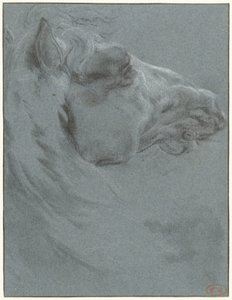 馬の頭 作： Francesco Giuseppe Casanova