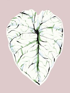 作： 