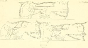 INGHIRAMI(1835) 壺絵 第3巻 T212 (14598189190)