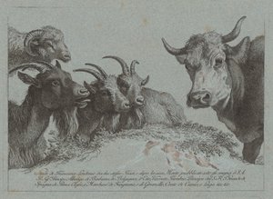 頭の研究: 3 頭のヤギ、1 頭の牛、1 頭の雄羊、2000 年頃に出版 1783年。 作： Francesco Londonio