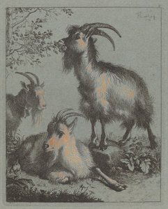 3 匹のヤギ、1758 年。 作： Francesco Londonio