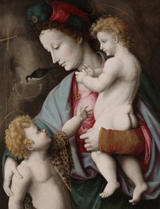 マドンナと聖ヨハネの子供、1525年頃（パネルに油彩） 作： Francesco Ubertini Il Bacchiacca