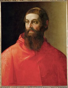 ロドルフォ・ピオ枢機卿（キャンバスに絵画） 作： Francesco de Rossi Salviati
