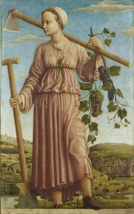 ミューズ ポリヒムニア、1459 年頃。 作： Francesco del Cossa
