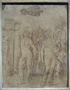 アダムとイヴ 1470年頃 羊皮紙にペンとインク 作： Francesco di Giorgio Martini