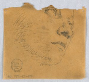 顔の部分スケッチ 作： Francis Augustus Lathrop