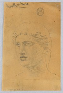 若者の頭のスケッチ 作： Francis Augustus Lathrop