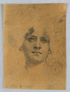 女性の顔のスケッチ 作： Francis Augustus Lathrop