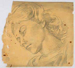 女性の頭のスケッチ 作： Francis Augustus Lathrop