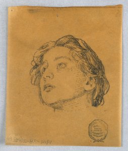 女性の頭のスケッチ 作： Francis Augustus Lathrop