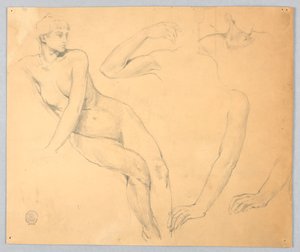 女性のヌードと腕のスケッチ