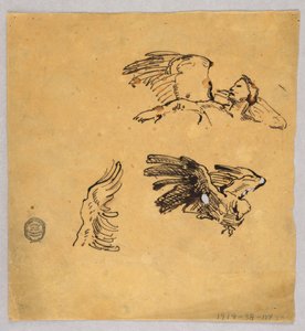 翼の研究 作： Francis Augustus Lathrop