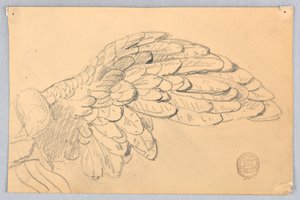 翼の研究 作： Francis Augustus Lathrop