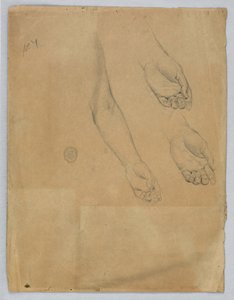 左手の 3 つの習作 作： Francis Augustus Lathrop