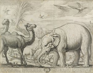 アフリカ、1672 作： Francis Barlow
