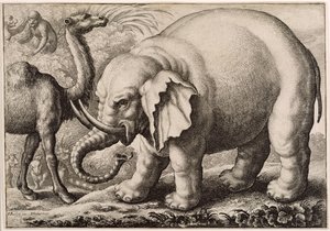ヴァーツラフホラー（1607-77）1663によって彫刻された象とラクダ 作： Francis Barlow
