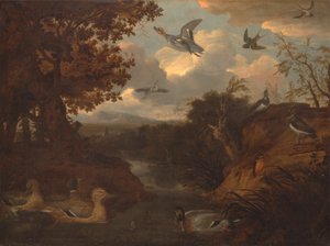 イタリア風の風景の中の小川についてのアヒルと他の鳥 作： Francis Barlow