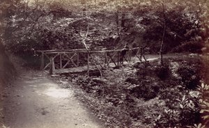 コルウィン湾。 森の中の素朴な橋、1870 年代。 作： Francis Bedford