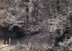 コルウィン湾。 森の中のプール、1870年代。