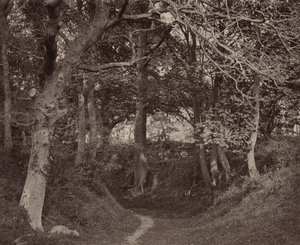 グレン・ケニルワース、1868年頃1868年（写真）
