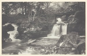 グレンリン、素朴な橋、186094。 作： Francis Bedford