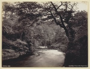 アイビー・ブリッジ、プリソール川の眺め 作： Francis Bedford