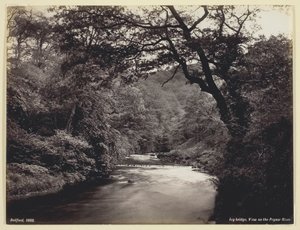 アイビー ブリッジ、プライザー川の眺め、186094 年。 作： Francis Bedford