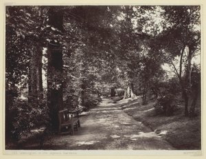 リーミントン、ジェフソン庭園、186094。 作： Francis Bedford